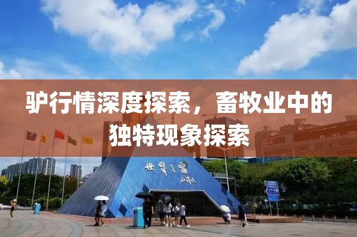 驢行情深度探索，畜牧業(yè)中的獨特現(xiàn)象探索