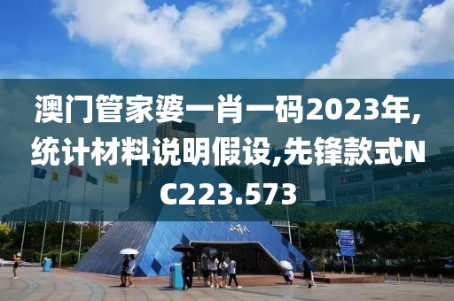 澳門(mén)管家婆一肖一碼2023年,統(tǒng)計(jì)材料說(shuō)明假設(shè),先鋒款式NC223.573