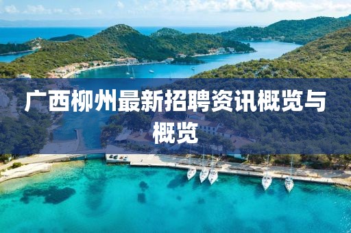 廣西柳州最新招聘資訊概覽與概覽