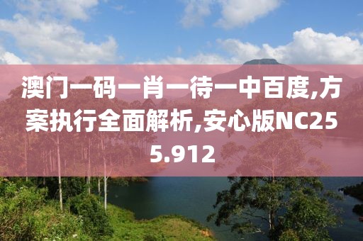 澳門一碼一肖一待一中百度,方案執(zhí)行全面解析,安心版NC255.912
