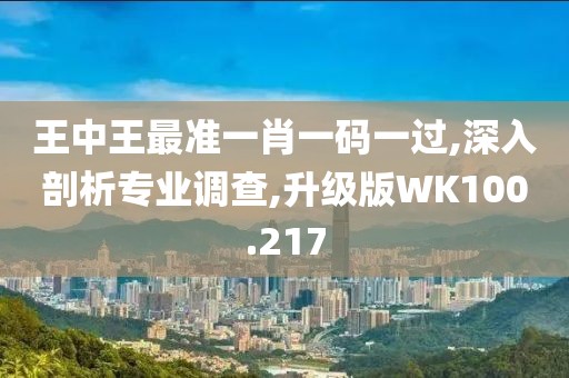 王中王最準一肖一碼一過,深入剖析專業(yè)調查,升級版WK100.217