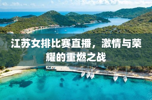 江蘇女排比賽直播，激情與榮耀的重燃之戰(zhàn)