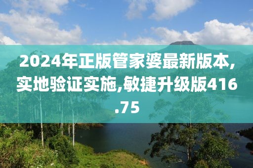 2024年正版管家婆最新版本,實地驗證實施,敏捷升級版416.75
