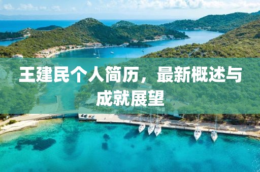 王建民個(gè)人簡歷，最新概述與成就展望
