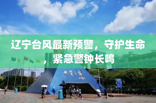遼寧臺風(fēng)最新預(yù)警，守護(hù)生命，緊急警鐘長鳴