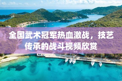 全國(guó)武術(shù)冠軍熱血激戰(zhàn)，技藝傳承的戰(zhàn)斗視頻欣賞