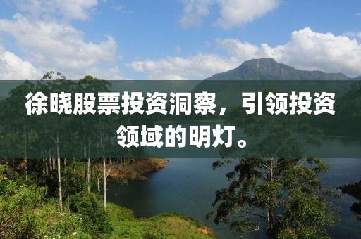 徐曉股票投資洞察，引領(lǐng)投資領(lǐng)域的明燈。