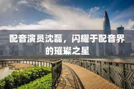 配音演員沈磊，閃耀于配音界的璀璨之星