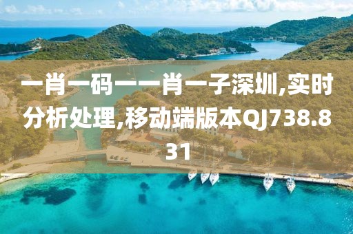 一肖一碼一一肖一子深圳,實(shí)時(shí)分析處理,移動(dòng)端版本QJ738.831