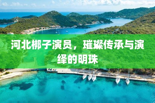 河北梆子演員，璀璨傳承與演繹的明珠
