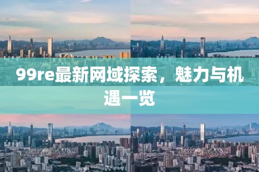 99re最新網(wǎng)域探索，魅力與機(jī)遇一覽