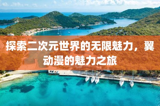 探索二次元世界的無(wú)限魅力，翼動(dòng)漫的魅力之旅