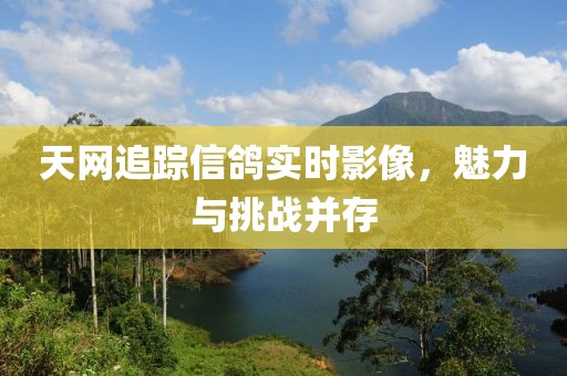 天網(wǎng)追蹤信鴿實時影像，魅力與挑戰(zhàn)并存
