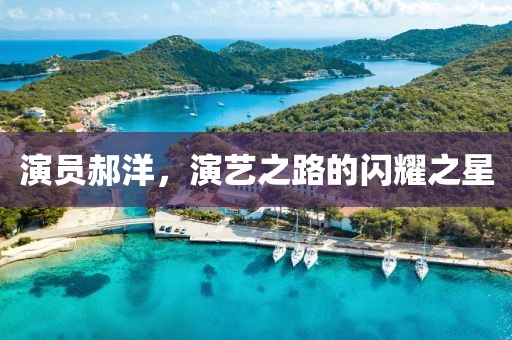 演員郝洋，演藝之路的閃耀之星