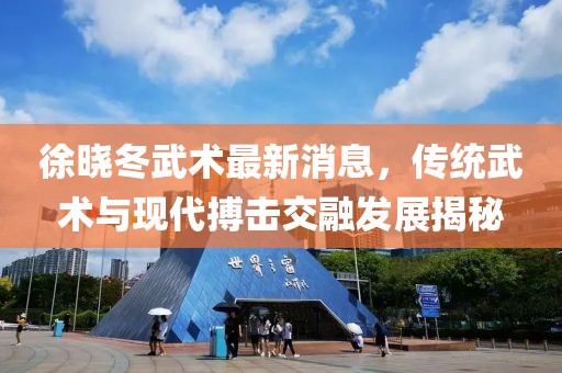 徐曉冬武術(shù)最新消息，傳統(tǒng)武術(shù)與現(xiàn)代搏擊交融發(fā)展揭秘