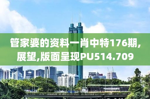 管家婆的資料一肖中特176期,展望,版面呈現(xiàn)PU514.709