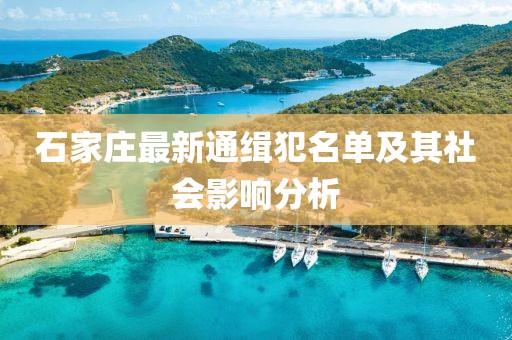 石家莊最新通緝犯名單及其社會(huì)影響分析