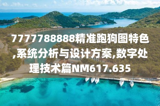 7777788888精準跑狗圖特色,系統(tǒng)分析與設計方案,數字處理技術篇NM617.635