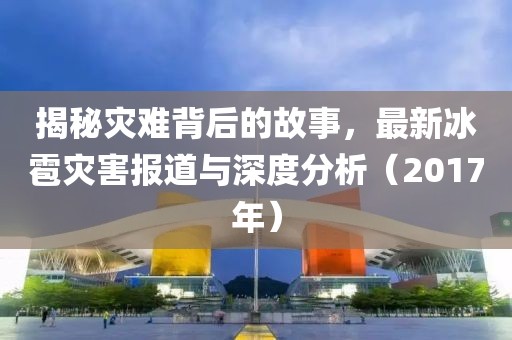 揭秘災(zāi)難背后的故事，最新冰雹災(zāi)害報道與深度分析（2017年）