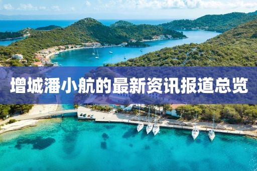 增城潘小航的最新資訊報道總覽