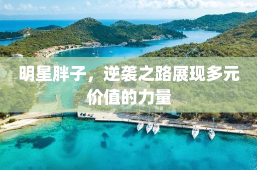 明星胖子，逆襲之路展現(xiàn)多元價(jià)值的力量