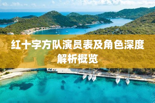 紅十字方隊演員表及角色深度解析概覽