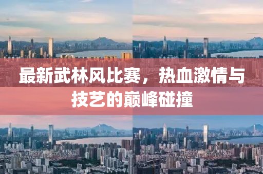 最新武林風(fēng)比賽，熱血激情與技藝的巔峰碰撞