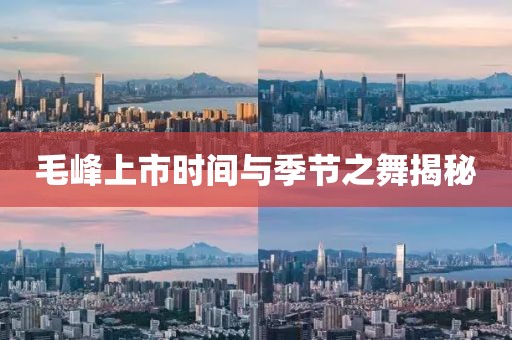 毛峰上市時(shí)間與季節(jié)之舞揭秘