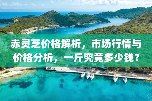 赤靈芝價格解析，市場行情與價格分析，一斤究竟多少錢？