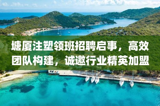 塘廈注塑領(lǐng)班招聘啟事，高效團隊構(gòu)建，誠邀行業(yè)精英加盟
