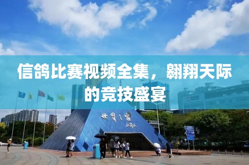 信鴿比賽視頻全集，翱翔天際的競(jìng)技盛宴