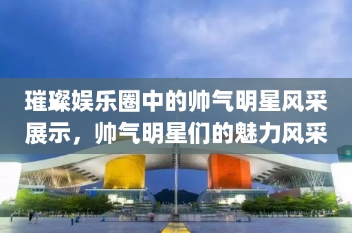 璀璨娛樂圈中的帥氣明星風(fēng)采展示，帥氣明星們的魅力風(fēng)采