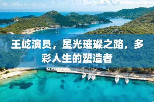 王屹演員，星光璀璨之路，多彩人生的塑造者