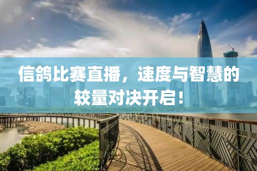 信鴿比賽直播，速度與智慧的較量對決開啟！