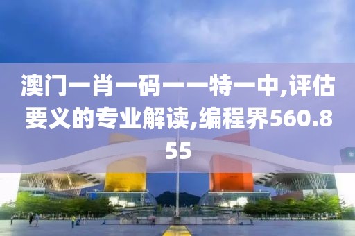 澳門一肖一碼一一特一中,評估要義的專業(yè)解讀,編程界560.855