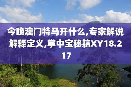 今晚澳門特馬開什么,專家解說解釋定義,掌中寶秘籍XY18.217