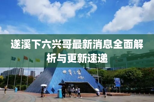遂溪下六興哥最新消息全面解析與更新速遞