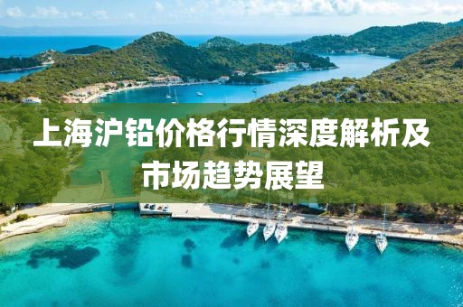 上海滬鉛價格行情深度解析及市場趨勢展望
