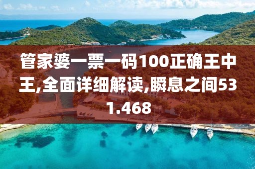管家婆一票一碼100正確王中王,全面詳細解讀,瞬息之間531.468