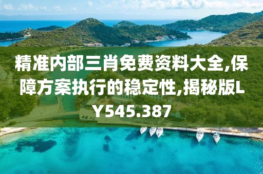 精準內(nèi)部三肖免費資料大全,保障方案執(zhí)行的穩(wěn)定性,揭秘版LY545.387