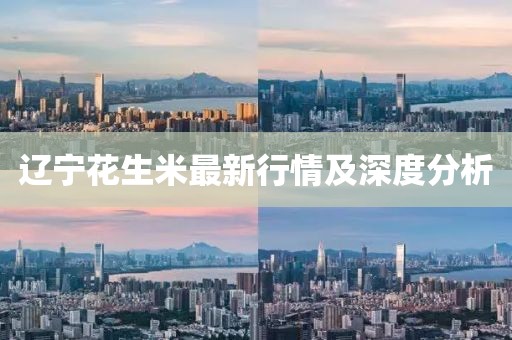 遼寧花生米最新行情及深度分析