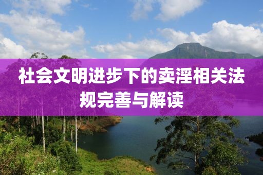 社會文明進(jìn)步下的賣淫相關(guān)法規(guī)完善與解讀