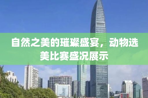 自然之美的璀璨盛宴，動(dòng)物選美比賽盛況展示