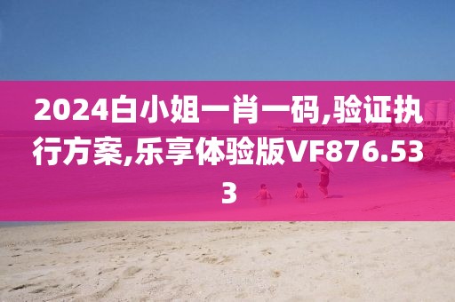 2024白小姐一肖一碼,驗(yàn)證執(zhí)行方案,樂(lè)享體驗(yàn)版VF876.533