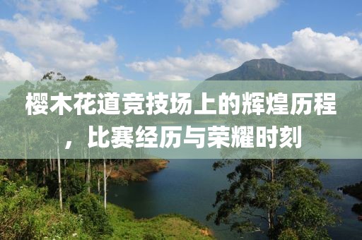 櫻木花道競技場上的輝煌歷程，比賽經(jīng)歷與榮耀時刻