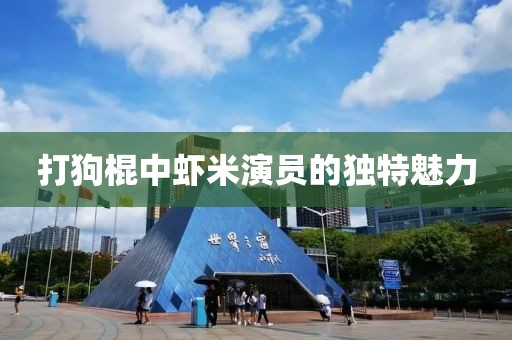 打狗棍中蝦米演員的獨特魅力