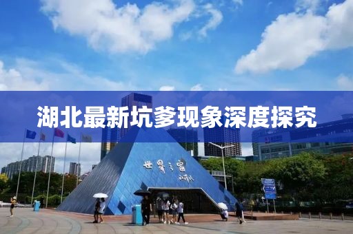 湖北最新坑爹現(xiàn)象深度探究