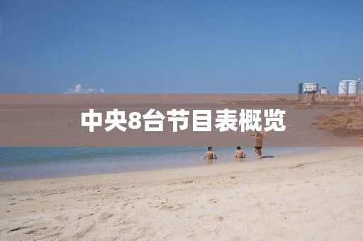 中央8臺節(jié)目表概覽