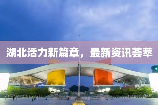 湖北活力新篇章，最新資訊薈萃