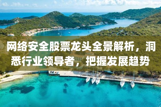 網(wǎng)絡(luò)安全股票龍頭全景解析，洞悉行業(yè)領(lǐng)導(dǎo)者，把握發(fā)展趨勢(shì)